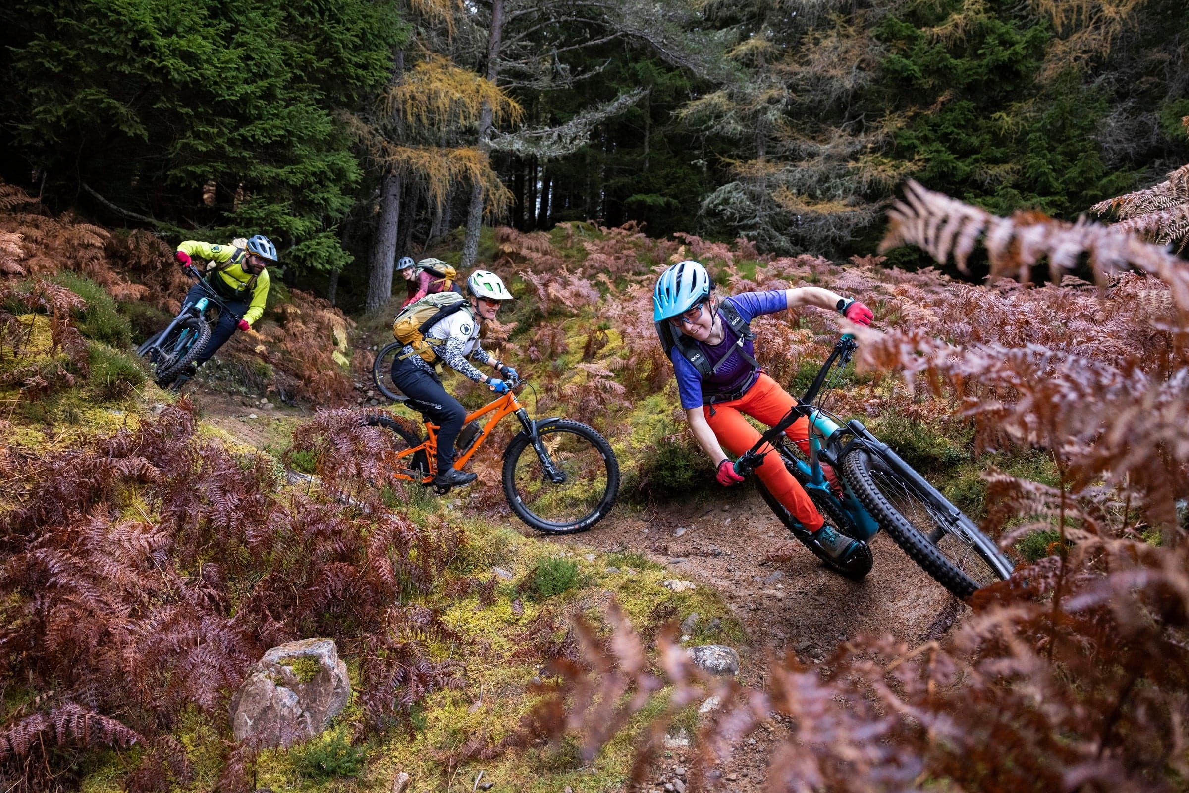 A group of mountain bikers on a forest trail